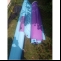 Katamaran Hobie Hobie 16 LE Race Bild 6 